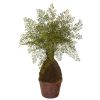 Maiden Hair Fern Artificial Plant in Decorative Planter