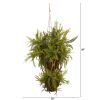 Mixed Forest Foliage and Fern Artificial Hanging Plant