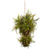 Mixed Forest Foliage and Fern Artificial Hanging Plant