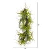 Air Plant Artificial Hanging Plant