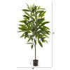 Long Leaf Ficus Artificial Plant