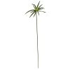 Cyperus Artificial Spray (Set of 12)