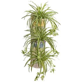 Spider Plant in Three Tie Red Wall Decor Planter