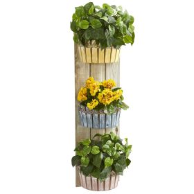 Geranium and Pothos Plant in Wall Decor Planter