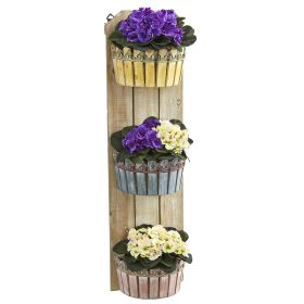 African Violet Plant in Three Tie Red Wall Decor Planter