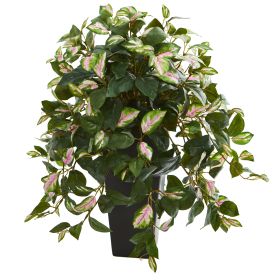 Hoya Artificial Plant in Black Vase