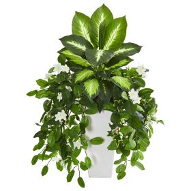 Stephanotis and Dieffenbachia Plant in White Planter