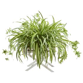 Spider Artificial Plant in Drawer Stand Planter