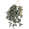 Wandering Jew Artificial Plant in Hanging Frame