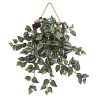 Wandering Jew Artificial Plant in Hanging Frame