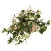 Hoya Artificial Plant in Decorative Hanging Frame
