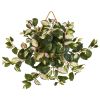 Hoya Artificial Plant in Decorative Hanging Frame