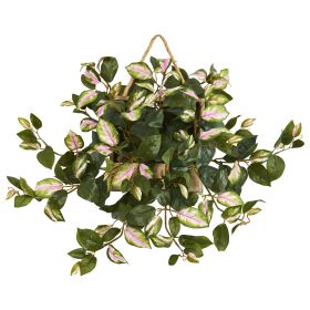 Hoya Artificial Plant in Decorative Hanging Frame