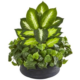 Golden Dieffenbachia & Pothos Artificial Plant in Plante