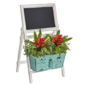 Bromeliad and Eucalyptus Plant in Stand with Chalkboard