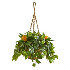 Bromeliad & Pothos Artificial Plant in Hanging Basket