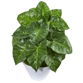 Taro Artificial Plant in White Vase