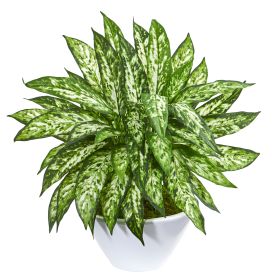 Aglonema Artificial Plant in White Vase
