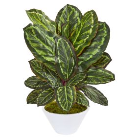 Maranta Artificial Plant in White Vase