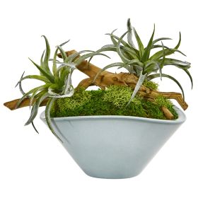 Air Plant Artificial Succulent in Green Vase