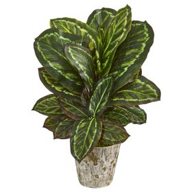 Maranta Artificial Plant in Weathe Red Oak Planter