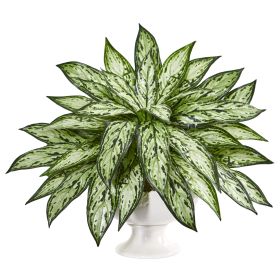 Silver Queen Artificial Plant in White Pedestal