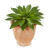 Giant Succulent Artificial Plant in Terra Cotta Planter