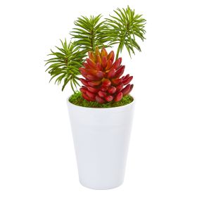 Mixed Succulents Artificial Plant in White Vase