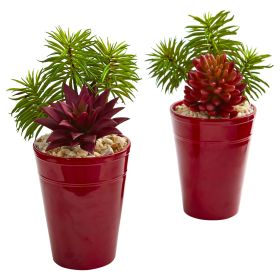 Mixed Succulents Artificial Plant in Vase (Set of 2)