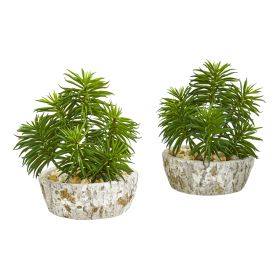 Succulent Artificial Plant in Weathe Red Planter(Set of 2)