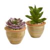 Succulent Artificial Plant in Ceramic Vase (Set of 2)