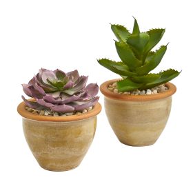 Succulent Artificial Plant in Ceramic Vase (Set of 2)
