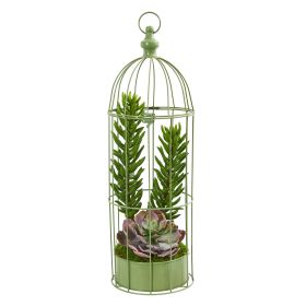 Succulent Garden Artificial Plant in Decorative Cage