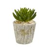 Succulent Artificial Plant in Planter