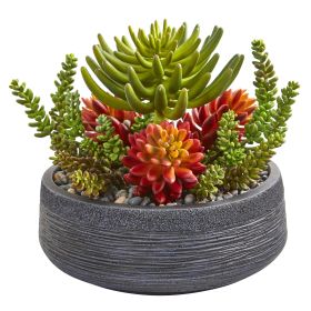 Succulent Garden Artificial Plant in Bowl