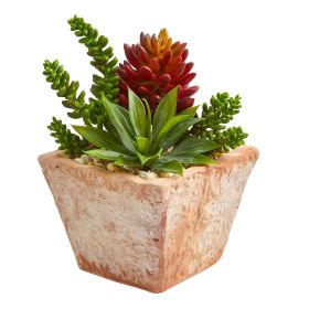 Mixed Succulents Artificial Plant in Terra Cotta Vase