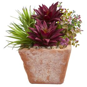 Succulent Garden Artificial Plant in Terracotta Planter