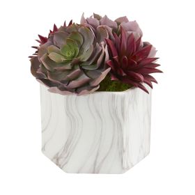 Echeveria and Spike Agave Succulent Plant in Marble Vase