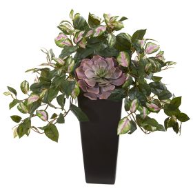 Echeveria Succulent and Hoya Plant in Black Vase