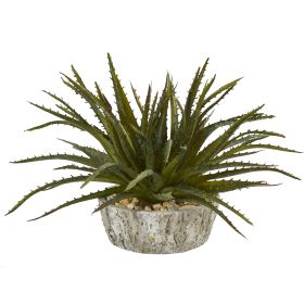 Aloe Succulent Artificial Plant in Weathe Red Oak Planter