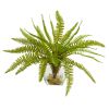 Fern Artificial Plant in Vase (Set of 2)