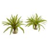 Fern Artificial Plant in Vase (Set of 2)