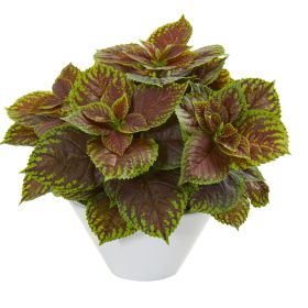 Coleus Artificial Plant in White Planter