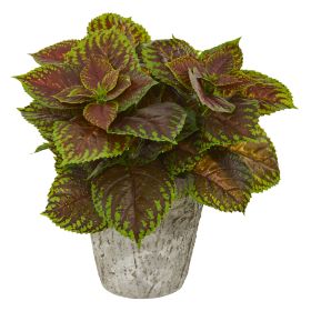 Coleus Plant in Weathe Red Oak Planter (Real Touch)