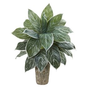 Aglonema Artificial Plant in Weathe Red Vase (Real Touch)