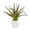 Aloe Artificial Plant in White Vase (Set of 2)