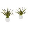 Aloe Artificial Plant in White Vase (Set of 2)