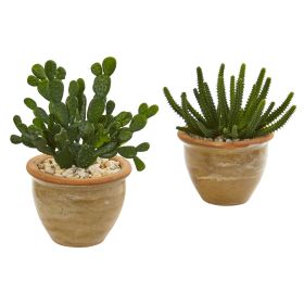 Cactus Succulent Artificial Plant in Vase (Set of 2)