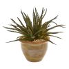 Aloe and Cactus Artificial Plant (Set of 2)
