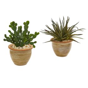 Aloe and Cactus Artificial Plant (Set of 2)
